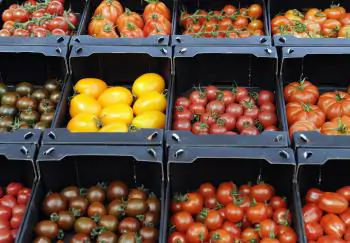 Food Facts: The Tomato