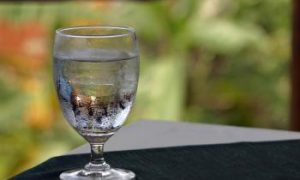 Humans' Unreliable Judgments