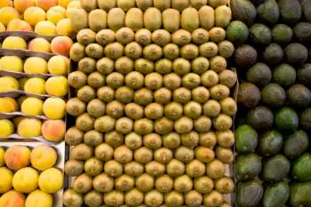 Court Rejects Turners and Growers’ Claims