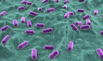Antibacterial Coating Could Replace Antibiotics