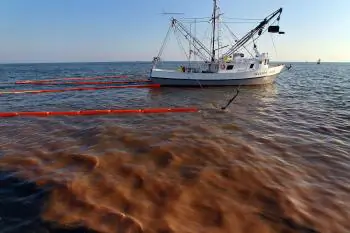 Calling Rapunzel—Clean Up the Oil Spill