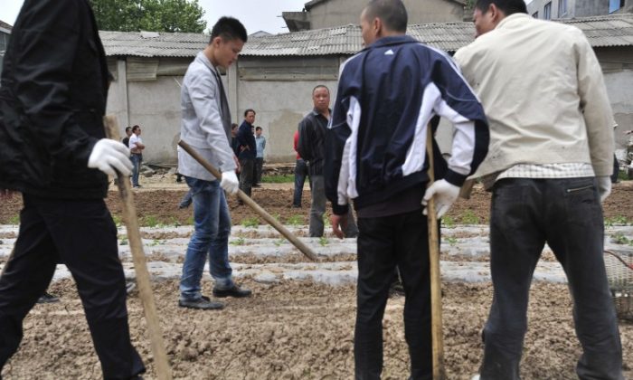 Chinese men carry sticks as they stand guard while workers demolish houses which are claimed illegal by local government in Wuhan, central China's Hubei province on May 7, 2010. (STR/AFP/Getty Images)
