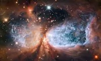 Bright Young Star Shakes Up Parent Cloud