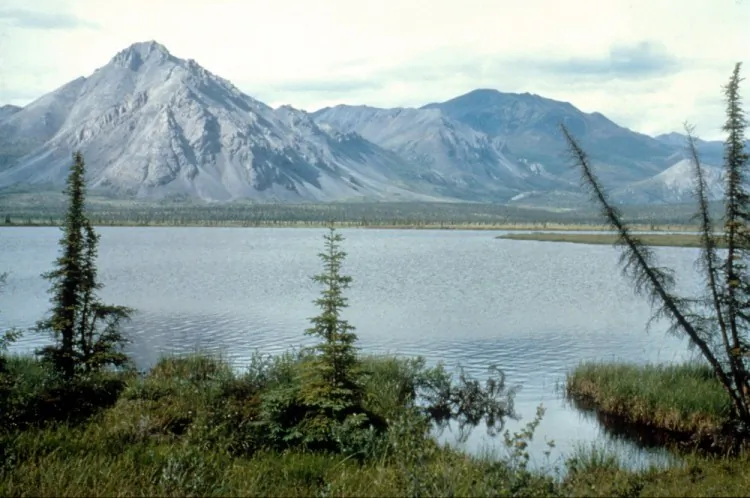 This undated photo shows the Arctic National Wildlife Refuge in Alaska. (U.S. Fish and Wildlife Service/Getty Images)