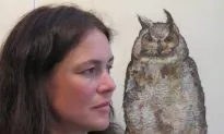 Exotic Creatures