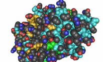 Nanoscale Biocoatings to Stop Bleeding in Seconds