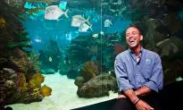 This Is New York: Jon Dohlin, New York Aquarium Director