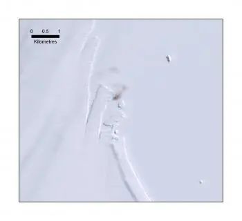 Guano Enables Scientists to Map Penguins From Space