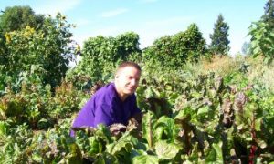 B.C. Man Could Get Jail for Selling Home-Grown Veggies