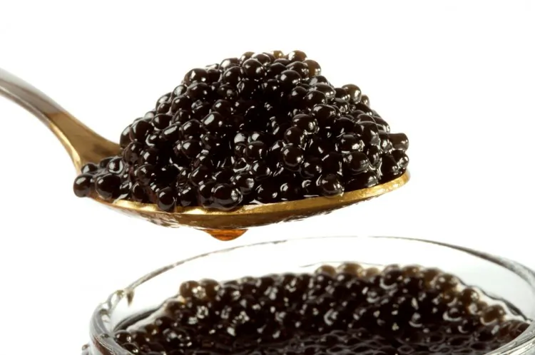 Beluga caviar is considered some of the most premium and expensive, if even available, caviar in the world. Sergiy Goruppa/Photos.com