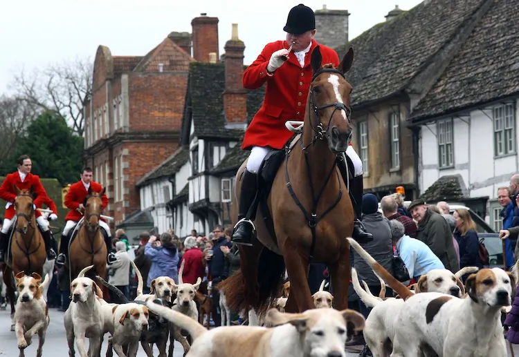 Jonathon Seed, joint master and huntsman with the Avon Vale Hunt, leads the hounds and fellow riders for their traditional Boxing Day hunt on Dec. 26, in Lacock, England. (Matt Cardy/Getty Images)