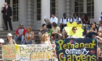 Community Garden Advocates Demand Permanent Protection for Their Gardens