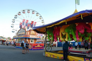 CNE Receives Record 54,000 Job Applications as Youth Unemployment Continues to Rise