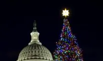 House Speaker Pelosi Lights the 2010 Capitol Tree