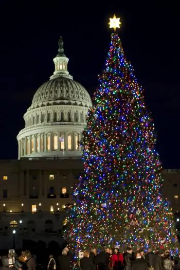 CHRISTMAS TREE: The 2010 Capitol Christmas Tree on the West lawn of the Capitol Building.  (Lisa Fan/The Epoch Times)