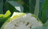 Food Fact: Cauliflower
