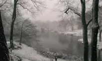 Late Winter Snowfall Slows New York Down