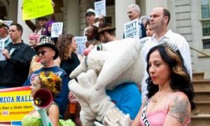 Protesters Fear City Plans Would 'Spell the End of Coney Island'