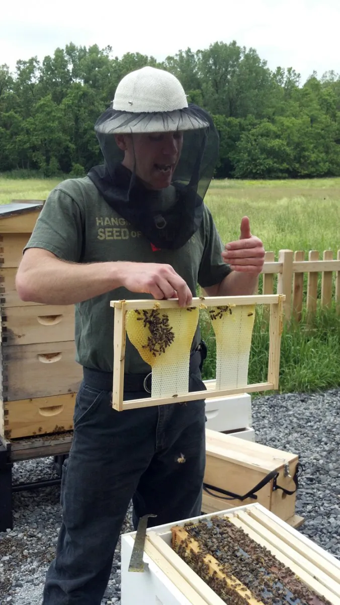 Colin Coyne explains honeybees at Storm King Art Center in the Hudson Valley. (Mary Silver/The Epoch Times)
