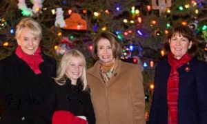 House Speaker Nancy Pelosi Lights Capitol Christmas Tree