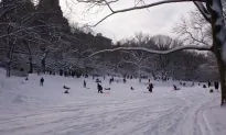 New York City Blizzard: Live Nemo Updates