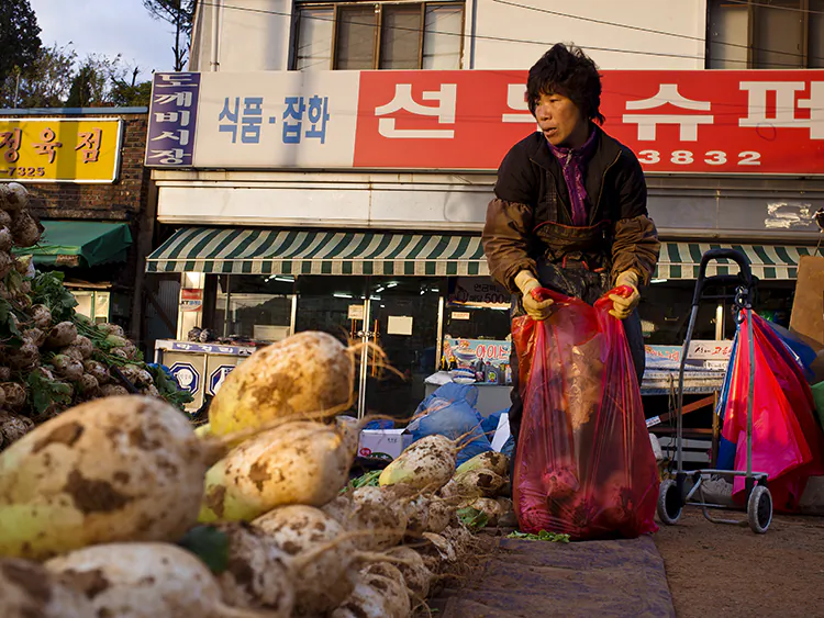 A woman prepares bean-sprouts for sale at her stall in the Central Market in Daejeon, October 25, 2012. Bean sprouts are a popular ingredient in Kimchi. (Jarrod Hall/The Epoch Times)