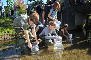 World Rivers Day: A B.C. Initiative Grows Into a Global Even