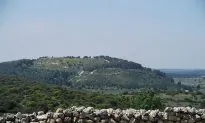David and Goliath Battle Site to Be Excavated