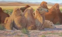 American Artist Susan Fox Paints Genghis Khan’s Mongolia