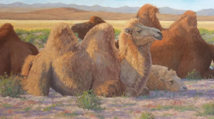 “Zuniin Odor (Summer Day),” a yak herder on a Mongol horse, by Susan Fox, 30 by 40 inches, oil. (Courtesy of Susan Fox)