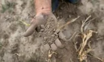 2012 & Beyond: Drought Conditions Expected Through 2013