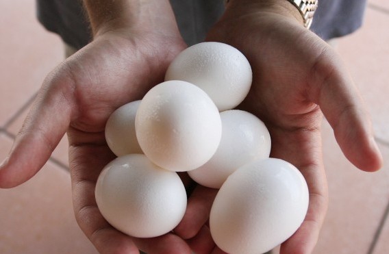 A man holds chicken eggs in Washington, Epoch Times Photo