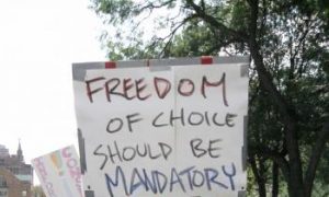 Albany Rally Protests Mandatory Swine Flu Vaccine