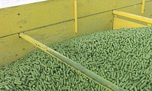 Canadian Groups Urge U.S. to Stop New GE Alfalfa