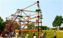 Gorilla Climb latest attraction at Toronto Zoo
