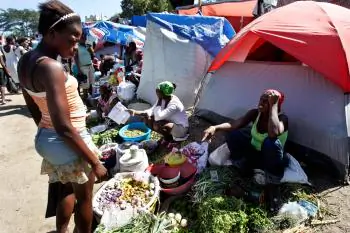 Agriculture in Post-Quake Haiti