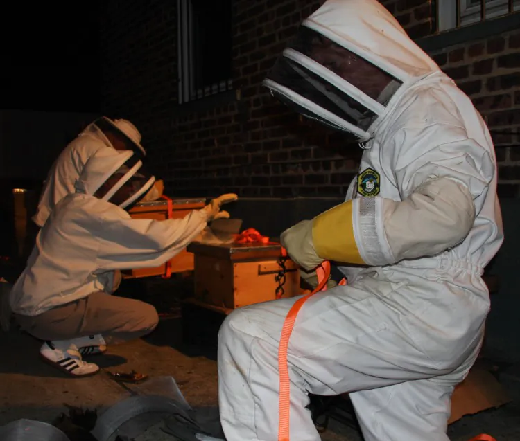 Beehives at the property in Corona, Queens. Courtesy of the New York City Beekeepers Association