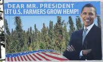 Lawmakers Push to Legalize Industrial Hemp