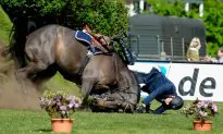 Sports Photo of the Week