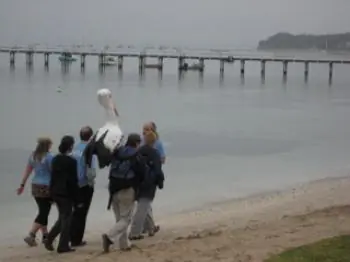 ‘Tracking rising sea levels’—A 100km Journey on Foot