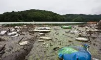 Garbage Collects in South Korea’s Water Supply