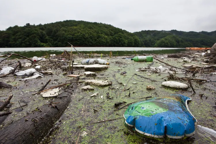 Garbage collecting in Daecheong Lake, South Korea. (Jarrod Hall/The Epoch Times)