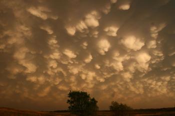 Mammatus clouds, which sit on the underside of anvil clouds at the top of updrafts called cumulonimbus storms. (Ron Gravelle) Mammatus clouds, which sit on the underside of anvil clouds at the top of updrafts called cumulonimbus storms. (Ron Gravelle)