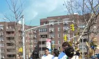 Spring Volunteer Opportunities