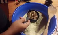 Reclaiming America’s Indigenous Foods