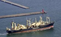 Japan Using Quake Funds for Whaling