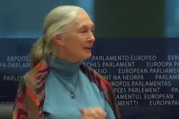 Jane Goodall Focuses on Children to Save the Planet