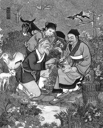 Herbal specialists teach Li Shizen about local plants. (1988 Postcard, Tianjin, China)