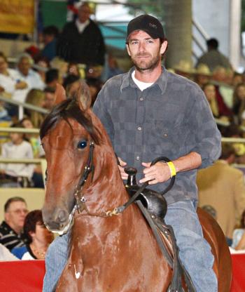 LUKE PERRY IN THE HORSE SHOW RING Actor Luke Perry riding in the 2010 Fiesta of the Spanish Horse. (Courtesy of Fiesta of the Spanish Horse) LUKE PERRY IN THE HORSE SHOW RING Actor Luke Perry riding in the 2010 Fiesta of the Spanish Horse. (Courtesy of Fiesta of the Spanish Horse)