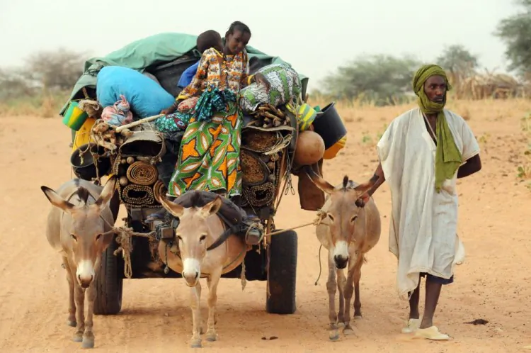 Ali Al Hassan, a Malian refugee, arrives with family members to the M'bere refugee camp near Bassiknou on May 2. More than 320,000 people have fled their homes in Mali since fighting began in mid-January, with more than half seeking refuge in neighboring countries. (Abdelhak Senna/AFP/GettyImages)
